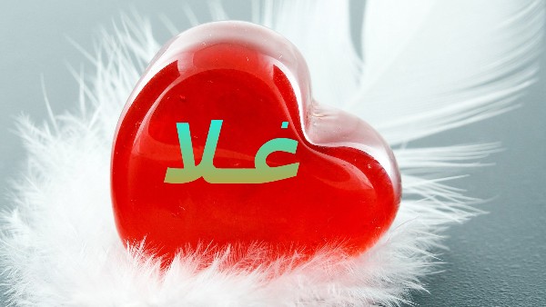 معنى اسم غلا