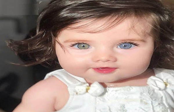 معنى اسم دعد