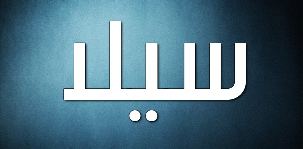 معني اسم سيلا 