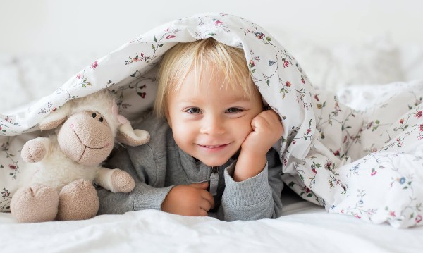 معنى اسم رائد